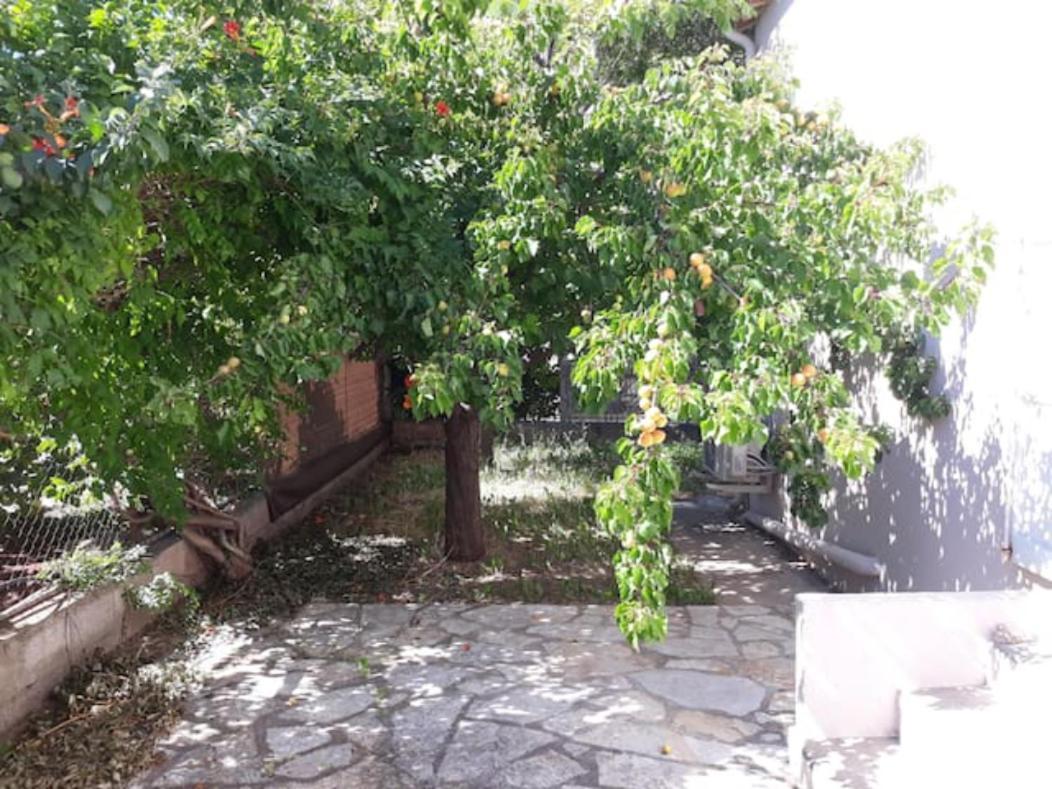 Le Galli En Plein Coeur De Sanary Exterior foto